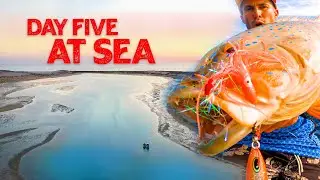 SURVIVING OFF THE OCEAN - out of supplies