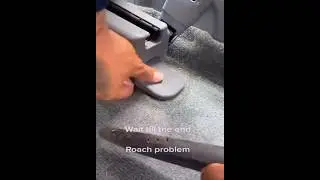 Car infested with roaches #cars #infested #bugs #cardetailing