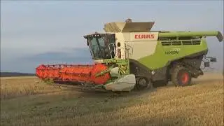 Žně Claas Lexion 550 660 2x 770 TT v p&scaron;enici