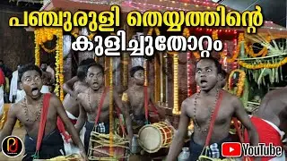 പഞ്ചുരുളി തെയ്യത്തിന്റെ തോറ്റം | Panjuruli Theyyam Thottam | #panjurli #theyyam #panjuruli #thottam