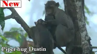 Million Pity! Poor orphan Dustin very cool, Good sister Piper deep hug Dustin instead mom is raining