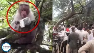 BER PISA U SHRIEH NALOR DIENG, &Iuml;A KHRU KI PAIDBAH HA MADAN