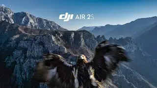 Eagle Attacking My Drone 🦅 insane Footage | DJI Air 2s
