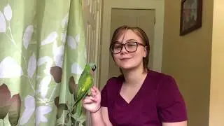 How to become an exotic veterinarian technician