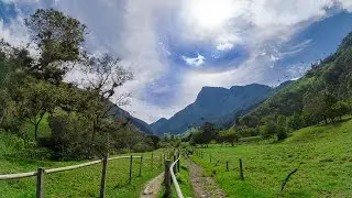 Valle del COCORA y Salento | Una escapada rural | Y el mejor CAFÉ DE COLOMBIA  ☕
