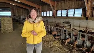 Prix à l'installation 2023 | Marlène Thibault | Jeunes Agriculteurs Sarthe