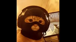 тест кскс (кс2)