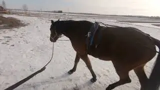 Cameron Wake juoksee ympyr&auml;n