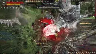 Black Desert Online Lv. 63 Awakening Ninja leveling part 222: more time in at Ash Forest!
