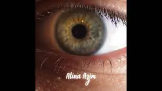 Mavi, doğada bulunan en nadir renk mi?