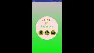 Zong Internet Package 2019