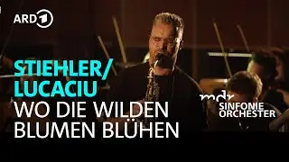 Duo Stiehler/Lucaciu - Wo die wilden Blumen bl&uuml;hen I MDR Sinfonieorchester