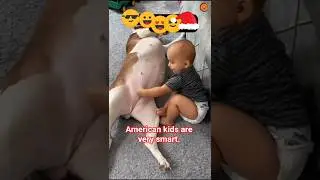 😱 Funny Animal Video 2026 #funny #animals #unitedstates #usa #comedy
