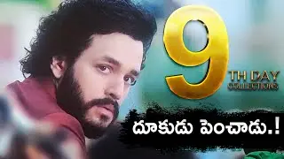 Most Eligible Bachelor 9th Day Collections | Most Eligible Bachelor Day 9 Box Office Collection