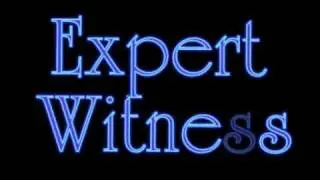 Hotel Motel Security Franchising Litigation Support