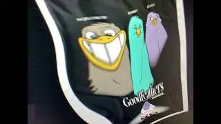 goodfeathers intro