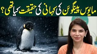 The Truth Behind the &ldquo;Depressed Penguin&rdquo; Story | Reality vs Viral Myth | Ayesha Nasir