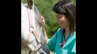 Year-Round Care of the Broodmare