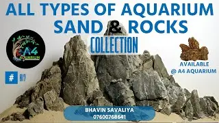 DRIFTWOODS,   & Stones  , IMPORTED WOODS AT A4 AQUARIUM AHMEDABAD ||#driftwoodart#aquarium#plants