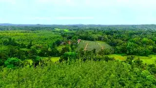 Beautiful Sri Lankan Village from Above 🏡 | 4K Drone View | DJI Mini 4 Pro | NatureTone
