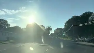 Alachua fl 🌷🦾