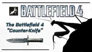 The Battlefield 4 