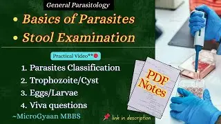 Stool Examination, Parasites Basics & Classification | General Parasitology | Microbiology | MBBS 