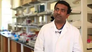 Testing at any temperature | Inside the Research | Washington University