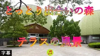 香しい森 9月24日 日曜 晴れ 初秋 とっとり出合いの森 テラスの風景 日本 鳥取県鳥取市桂見 とっとり出合いの森 @WalkingYoshi