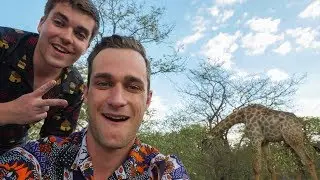 CLOSE ENCOUNTER WITH GIRAFFES + Victoria Falls!! - Zambia Files 7