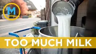 Why Canadian dairy farmers are being forced to dump their milk | Your Morning