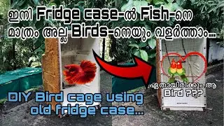 DIY Bird Cage | Fridge case വെച്ച് വേറെ level ഒരു കിളിക്കൂട്  | How to make bird cage at home 🐣❤️