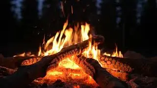 Serene Campfire with Starry Night Ambience