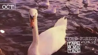 Loud Forest - Wake Up