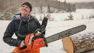 Chainsaw Carving Live! What to Make?