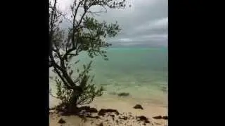 165 13th St. Key Colony Beach/ Marathon, Florida Keys- Best Vacation Rental! (VRBO.com #581140)