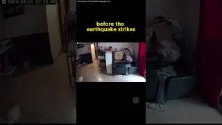 Dog senses impending earthquake #dogs