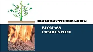 Bioenergy Technologies: Biomass combustion#bioenergy #biomass #combustion