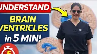 Brain Ventricles Made EASY 🧠 | Understand in Just 5 Minutes!#smritibhatia#physiotherapy#neuroscience