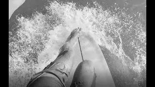Surfing somewhere in China - Time Still Out East