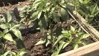 Soft Twist Tie Garden Wire | Gardeners Edge