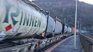 Una domenica mattina gelida passata a Colmegna