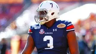 Auburn DE Marlon Davidson Highlights ᴴᴰ
