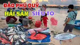 Bật mí làng chài Hải Sản Siêu To và Đa Dạng ở Đảo Phú Quý  - Kinh nghiệm du lịch Đảo Phú Quý  ❤️  🏝