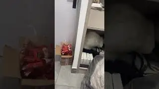 Inexperienced thief