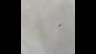 Cleaning the scruffy walls with magic eraser ￼