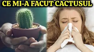 MULȚI AU CACTUS ACASĂ DAR NICI NU BĂNUIESC CE EFECTE ARE ASUPRA SĂNĂTĂȚII!