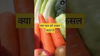 fasal kise kahate hain | ravi fasal | kharib fasal | #shortfeed #shortsfeed #science #facts #dm