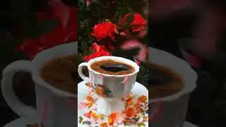 ١٧ يناير ٢٠٢٦