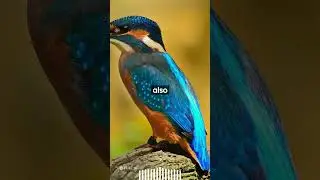Decoding Avian Stability: How Birds Stabilize Their Heads